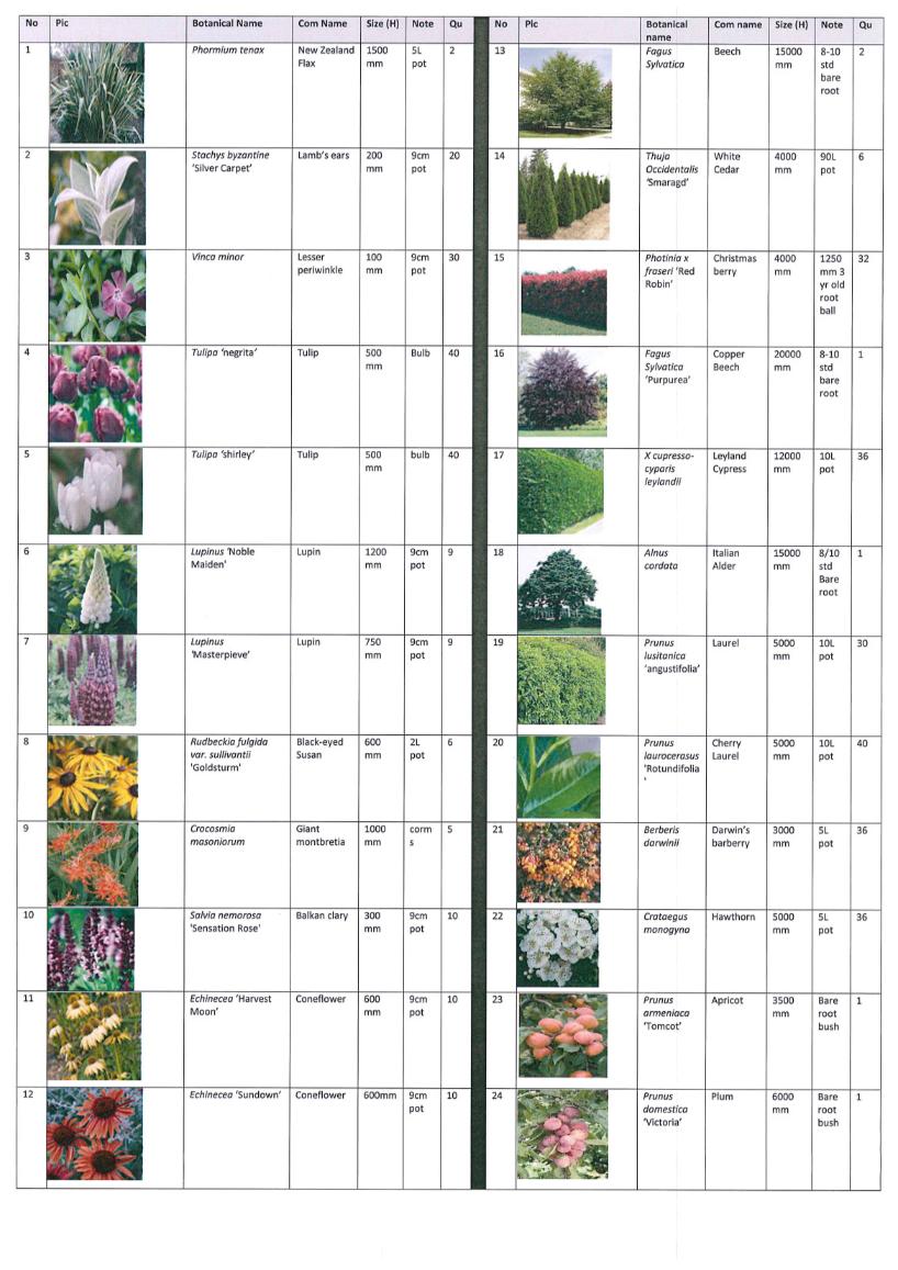 Names Of Landscaping Plants