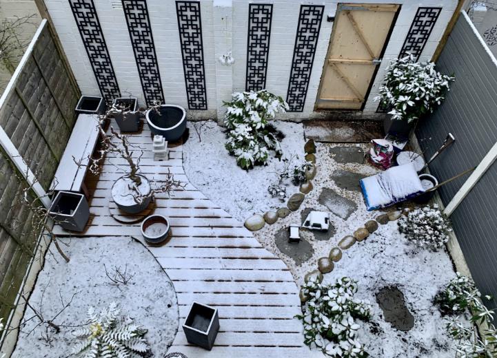 snowy pic