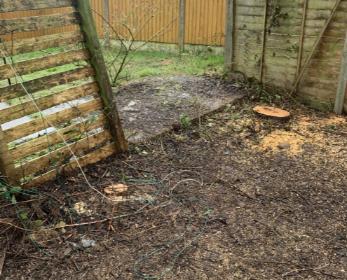 Photo-26-03-2021-10-33-03-495x400