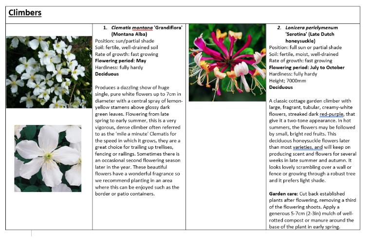 sample-planting-plan